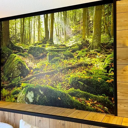 Stanma - Naturpartments Am Fluss Mit Sauna Und Bergblick Apartmán *